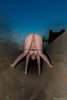 Undressed Girl Crawling in a Ditch