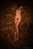 Natural Woman Sleeping Naked on Autumn Leaves